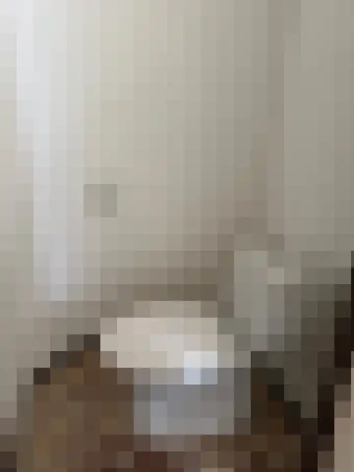 Plein 22 Tiel thumbnail 9