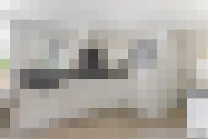 Plein 30 Borssele thumbnail 10