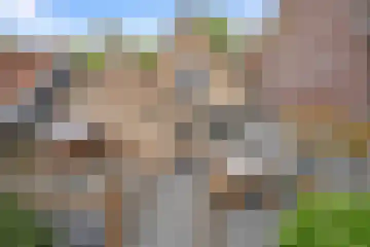 Plein 30 Borssele thumbnail 30