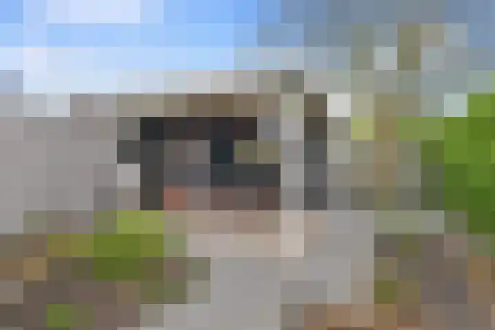 Plein 30 Borssele thumbnail 31