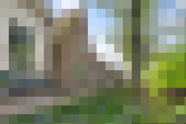 Plein 30 Borssele thumbnail 36