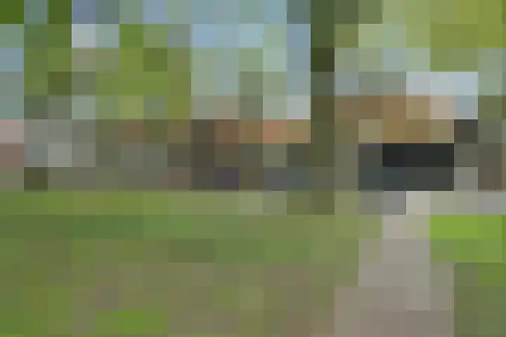Plein 30 Borssele thumbnail 38