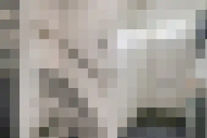 Plein 30 Borssele thumbnail 4
