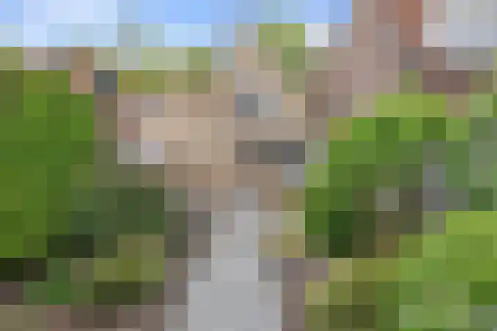 Plein 30 Borssele thumbnail 45