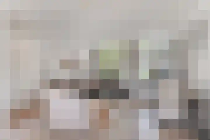 Plein 30 Borssele thumbnail 6