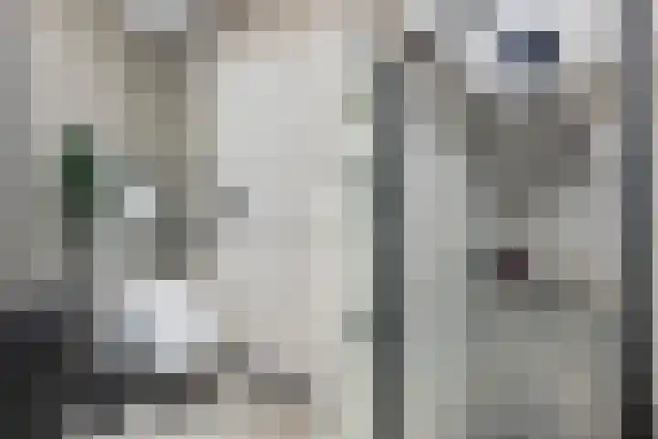 Plein 64 Wateringen thumbnail 13