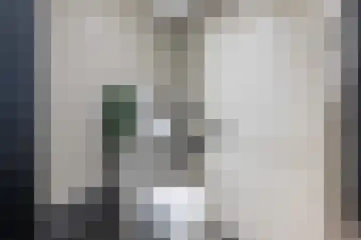 Plein 64 Wateringen thumbnail 23