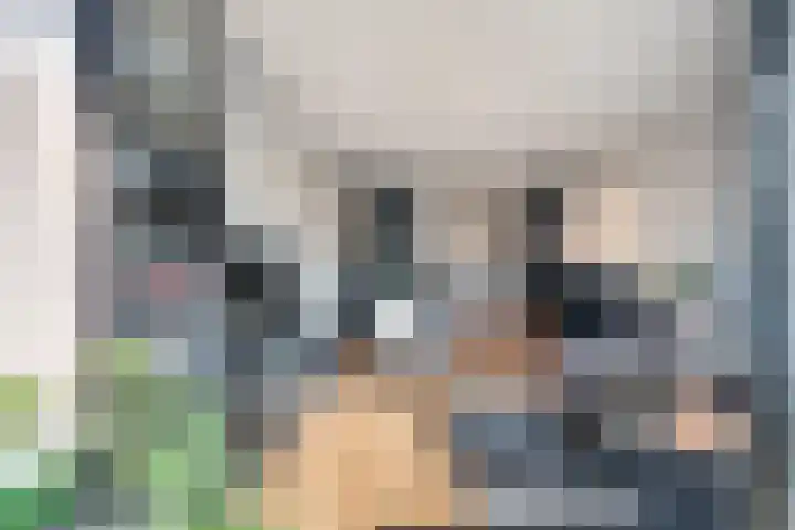 Plein 64 Wateringen thumbnail 9