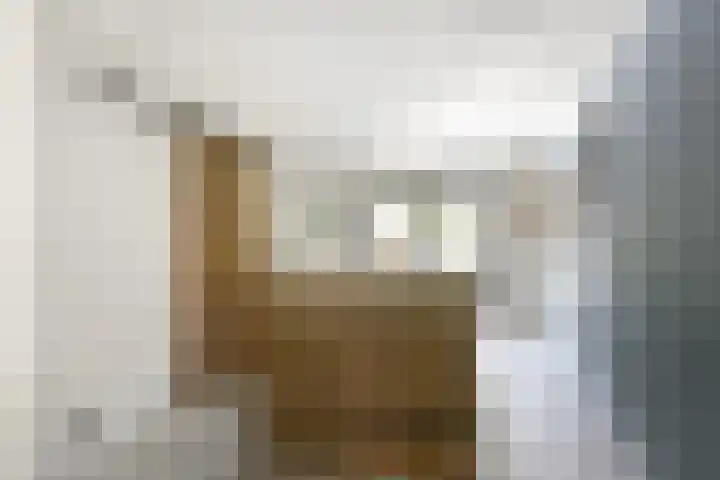 Pleineslaan 104 Den Dolder thumbnail 12