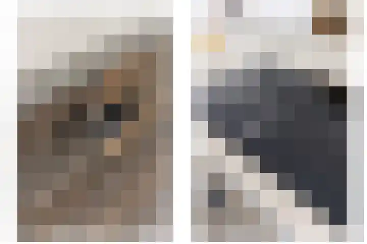 Pleineslaan 104 Den Dolder thumbnail 14