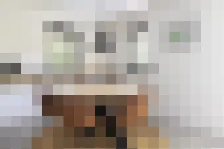 Pleineslaan 104 Den Dolder thumbnail 16