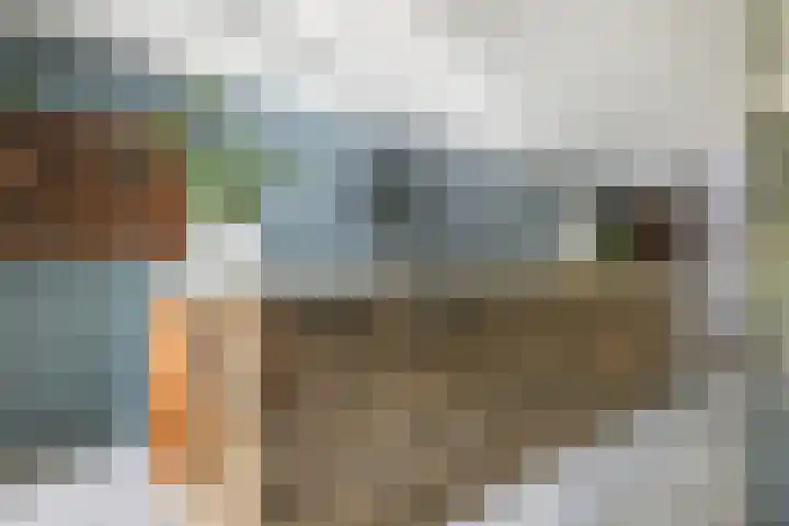 Pleineslaan 104 Den Dolder thumbnail 19