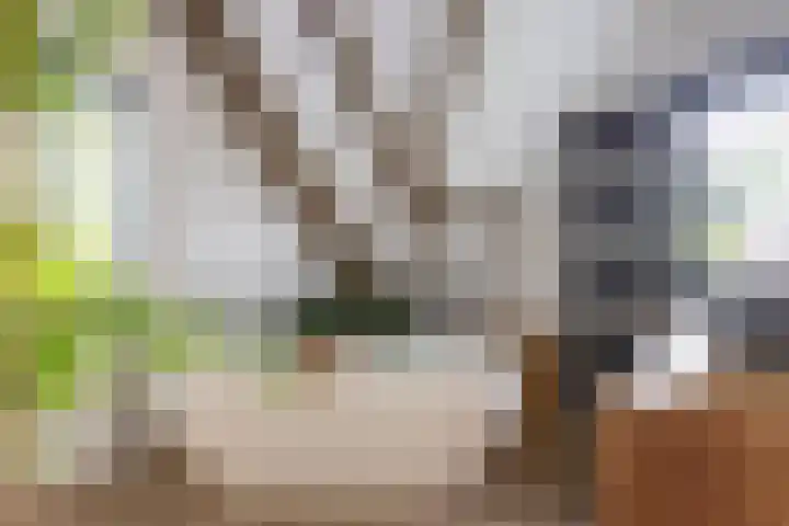 Pleineslaan 104 Den Dolder thumbnail 27