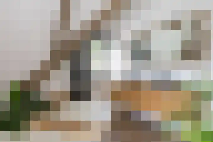 Pleineslaan 104 Den Dolder thumbnail 28