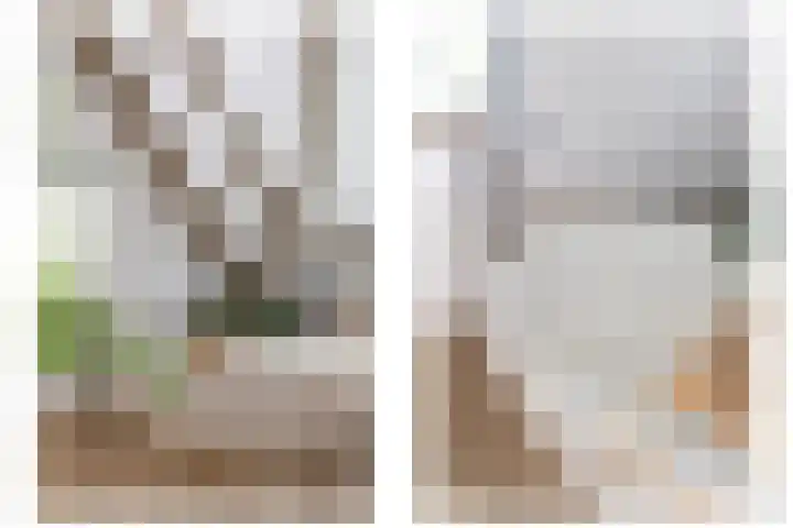 Pleineslaan 104 Den Dolder thumbnail 29