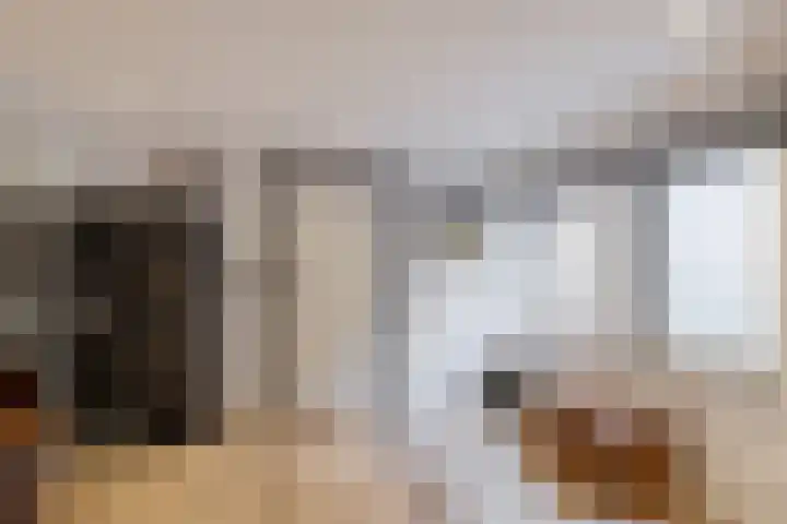 Pleineslaan 104 Den Dolder thumbnail 39