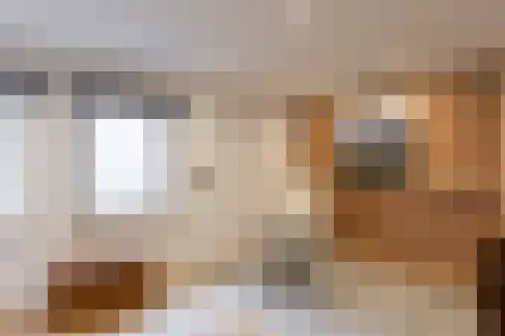 Pleineslaan 104 Den Dolder thumbnail 40