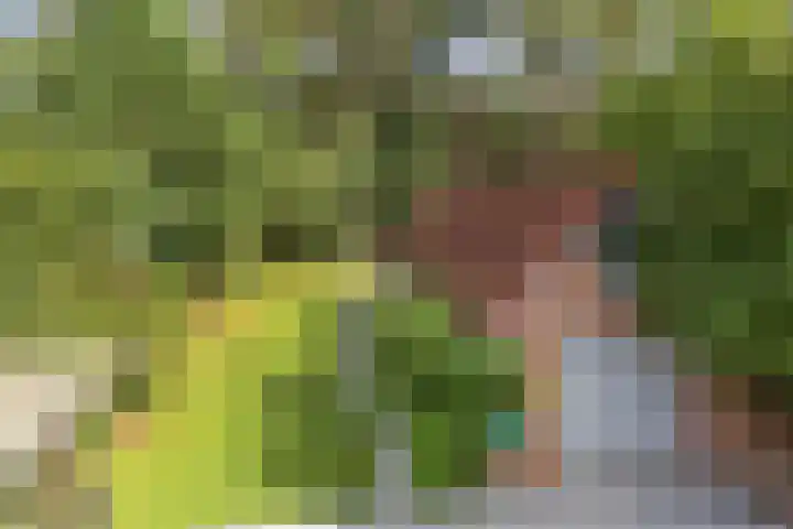 Pleineslaan 104 Den Dolder thumbnail 42
