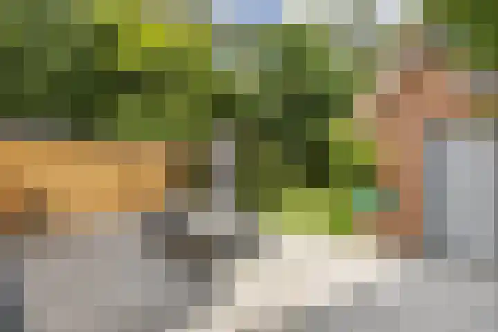 Pleineslaan 104 Den Dolder thumbnail 43