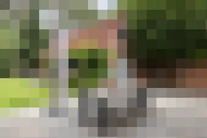 Pleineslaan 104 Den Dolder thumbnail 44
