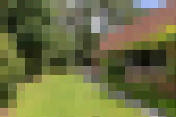 Pleineslaan 104 Den Dolder thumbnail 45