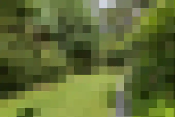 Pleineslaan 104 Den Dolder thumbnail 46