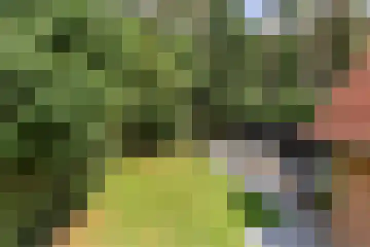 Pleineslaan 104 Den Dolder thumbnail 47