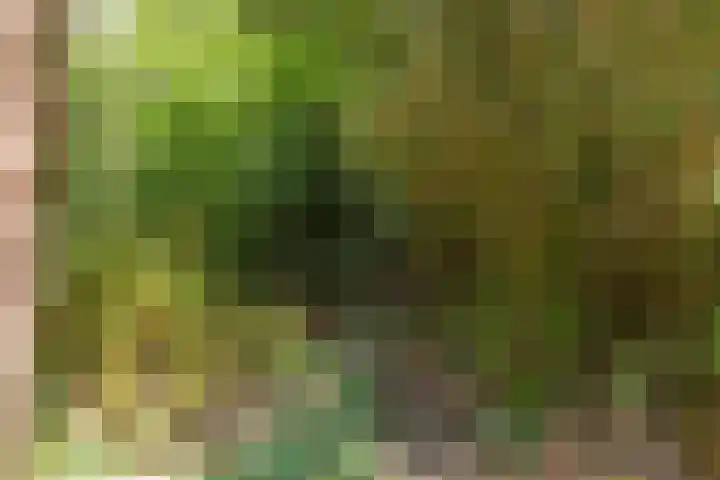 Pleineslaan 104 Den Dolder thumbnail 49