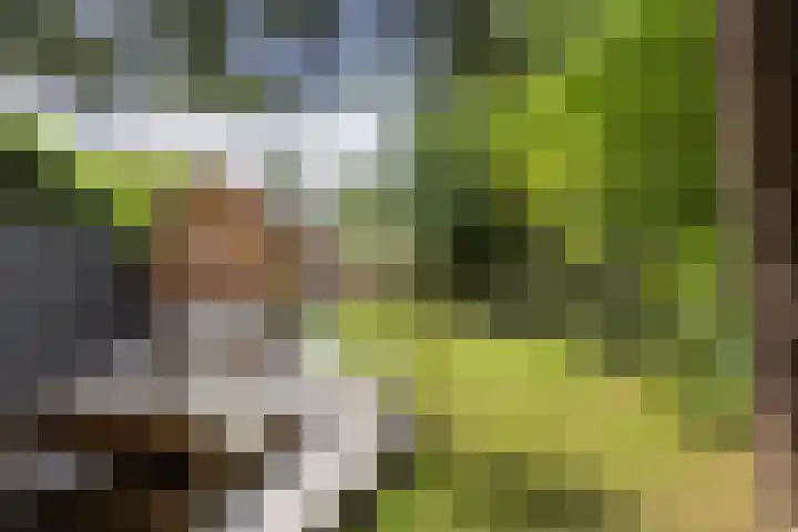 Pleineslaan 104 Den Dolder thumbnail 50