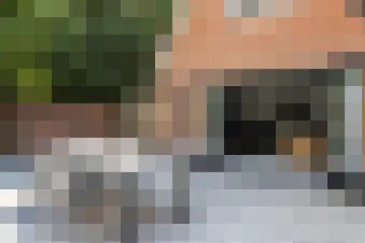Pleineslaan 104 Den Dolder thumbnail 54