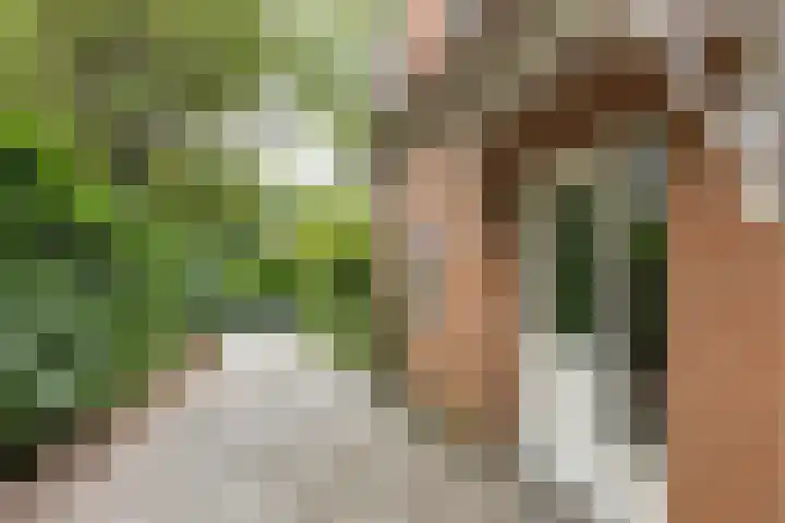 Pleineslaan 104 Den Dolder thumbnail 55