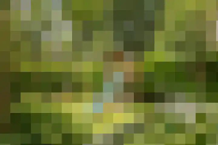 Pleineslaan 104 Den Dolder thumbnail 56