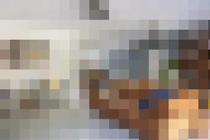 Pleineslaan 104 Den Dolder thumbnail 8