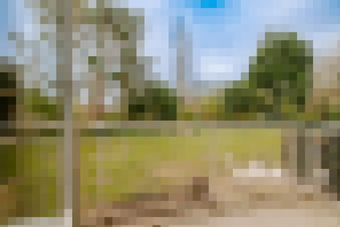 Plesmanlaan 16 Haarlem thumbnail 24