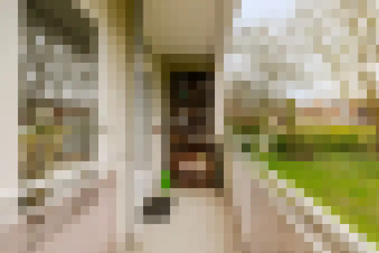 Plesmanlaan 16 Haarlem thumbnail 26