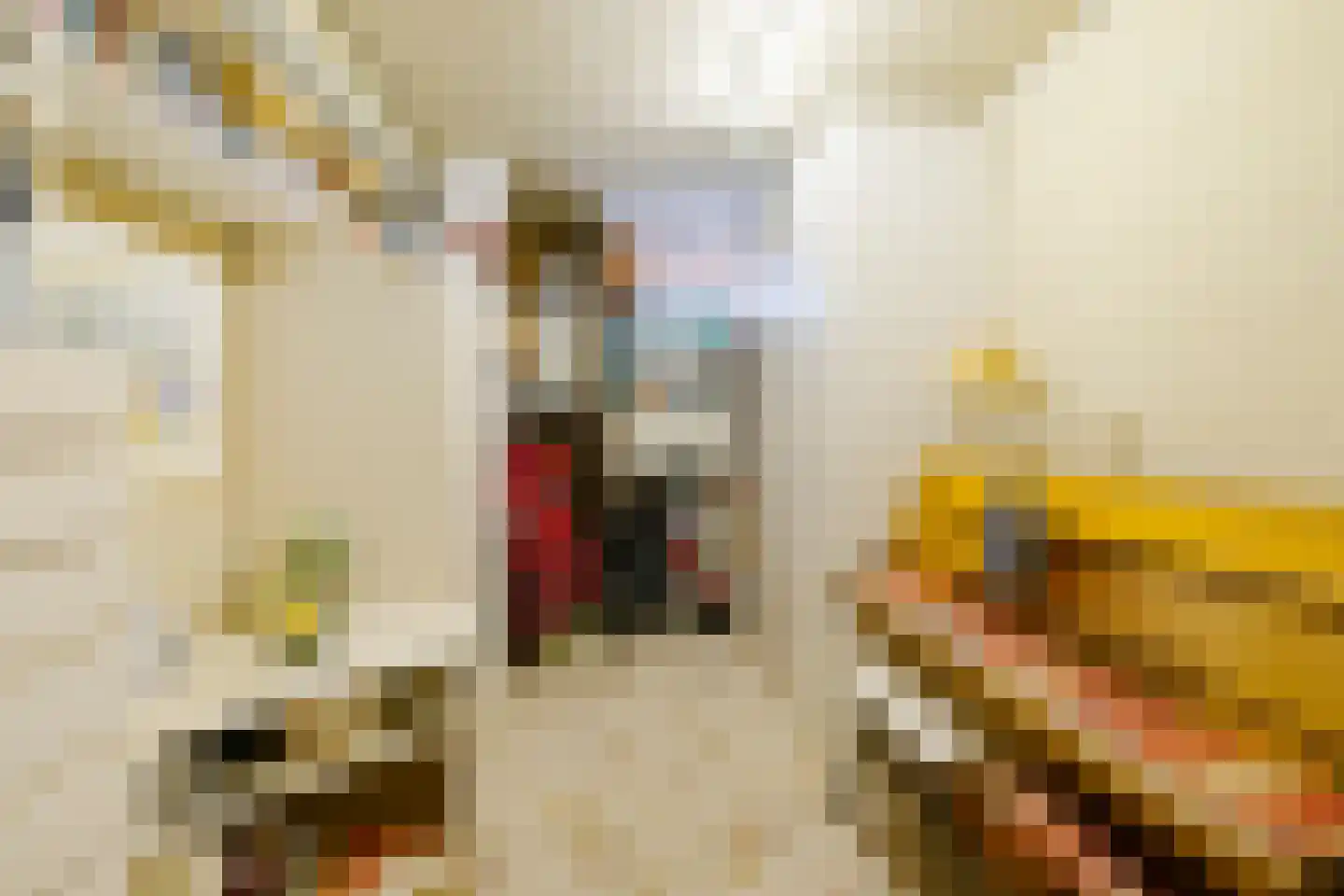Plesmanlaan 16 Haarlem thumbnail 33