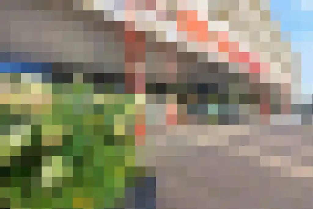 Plesmanlaan 16 Haarlem thumbnail 42