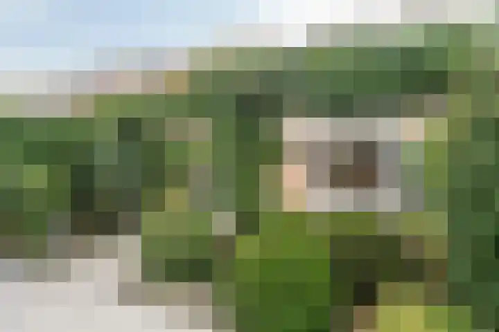 Plesmanlaan 30 Badhoevedorp thumbnail 38
