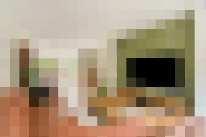 Plesmanlaan 30 Badhoevedorp thumbnail 6