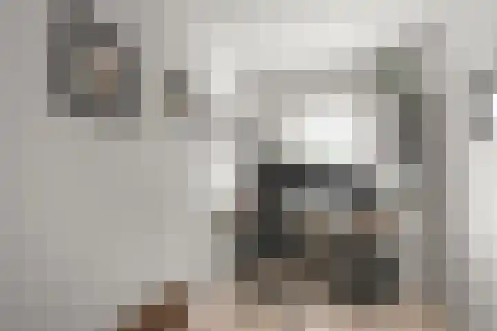 Plesmanlaan 36 I Haarlem thumbnail 22