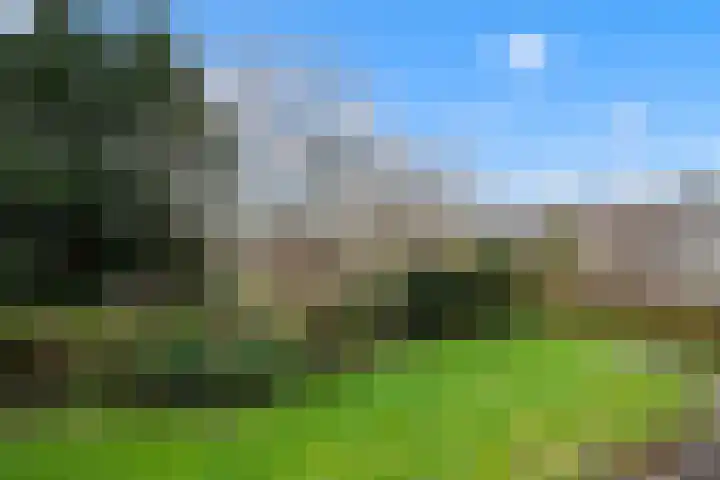 Plesmanlaan 8 I Haarlem thumbnail 18