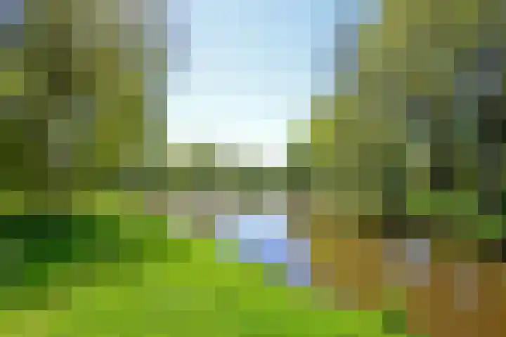Plesmanlaan 8 I Haarlem thumbnail 33