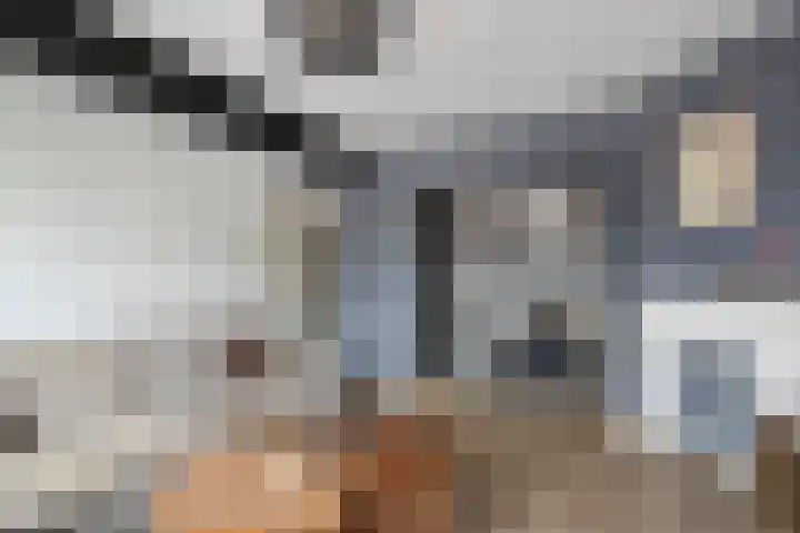 Plesmanlaan 8 I Haarlem thumbnail 6