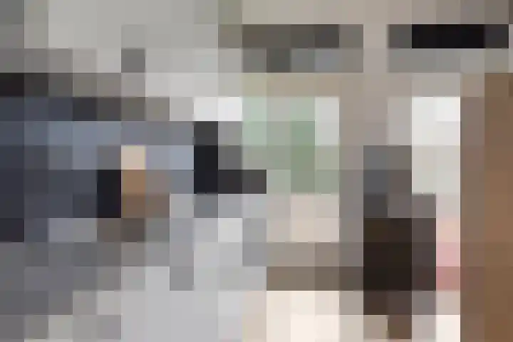 Plesmanlaan 8 I Haarlem thumbnail 8