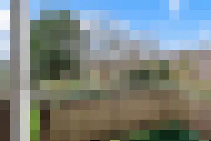 Plesmanlaan 8 I Haarlem thumbnail 9
