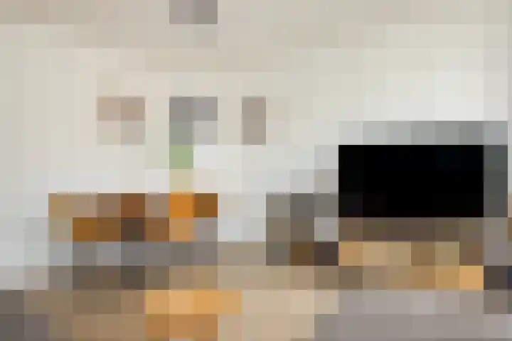 Plesmanlaan 8 II Haarlem thumbnail 10