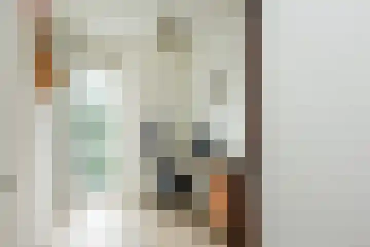 Plesmanlaan 8 II Haarlem thumbnail 16