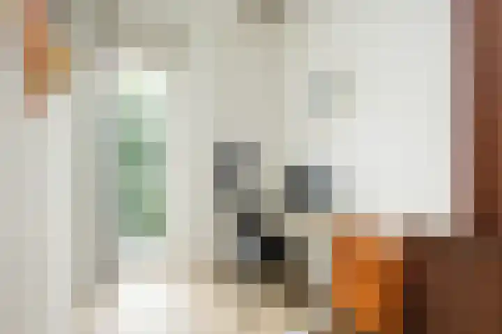 Plesmanlaan 8 II Haarlem thumbnail 17