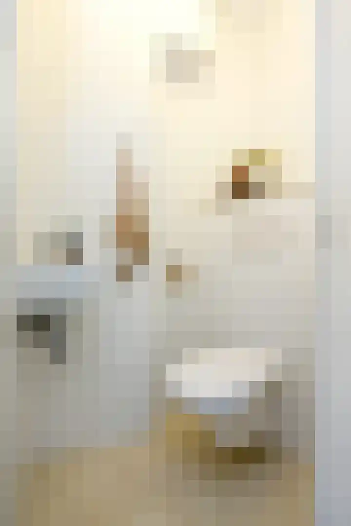 Plesmanlaan 8 II Haarlem thumbnail 22