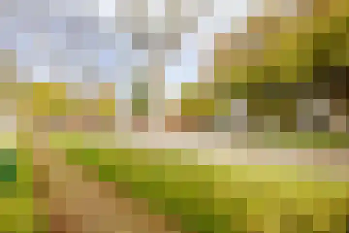 Plesmanlaan 8 II Haarlem thumbnail 27